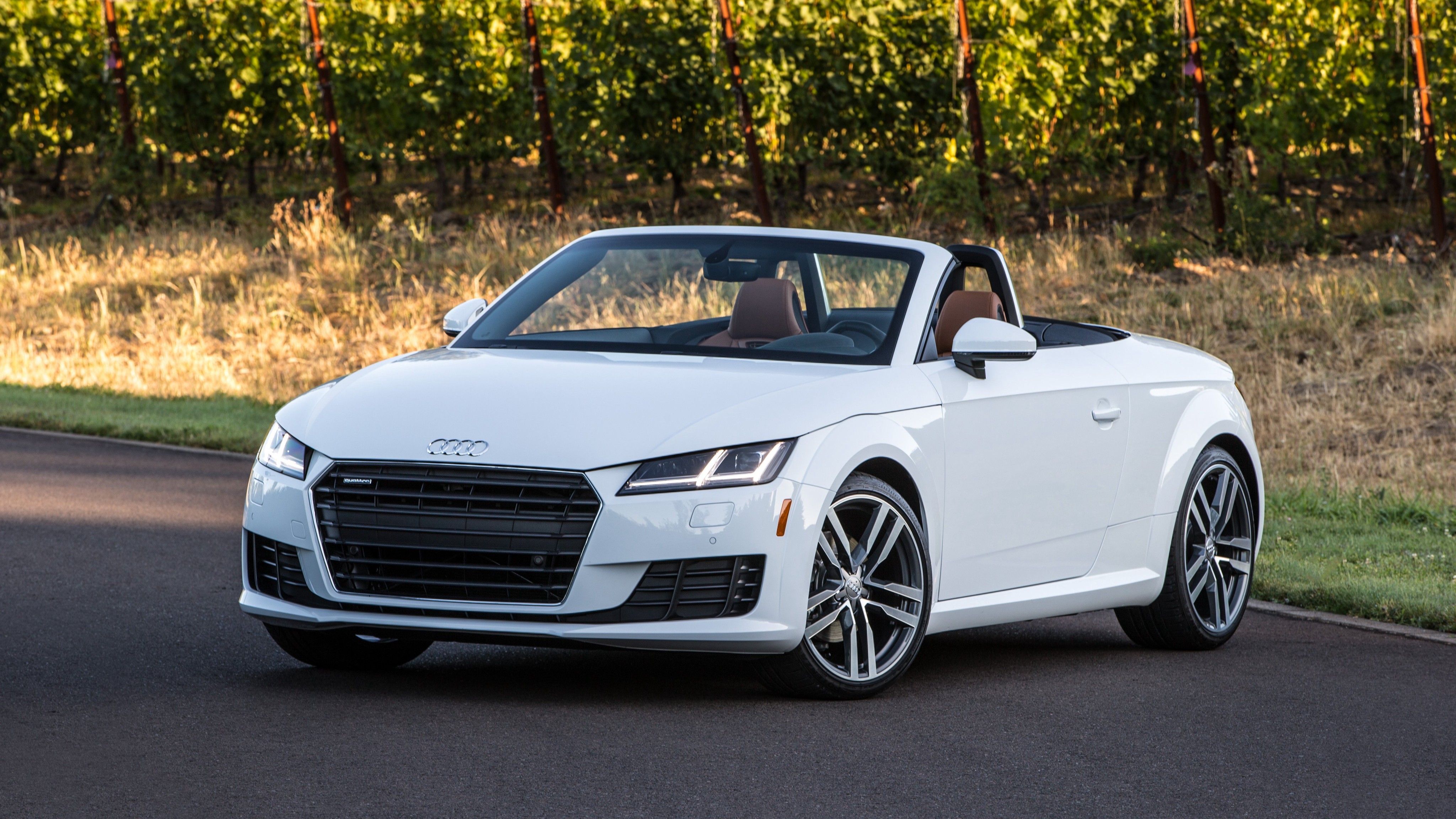 Audi Tt Roadster photo 63