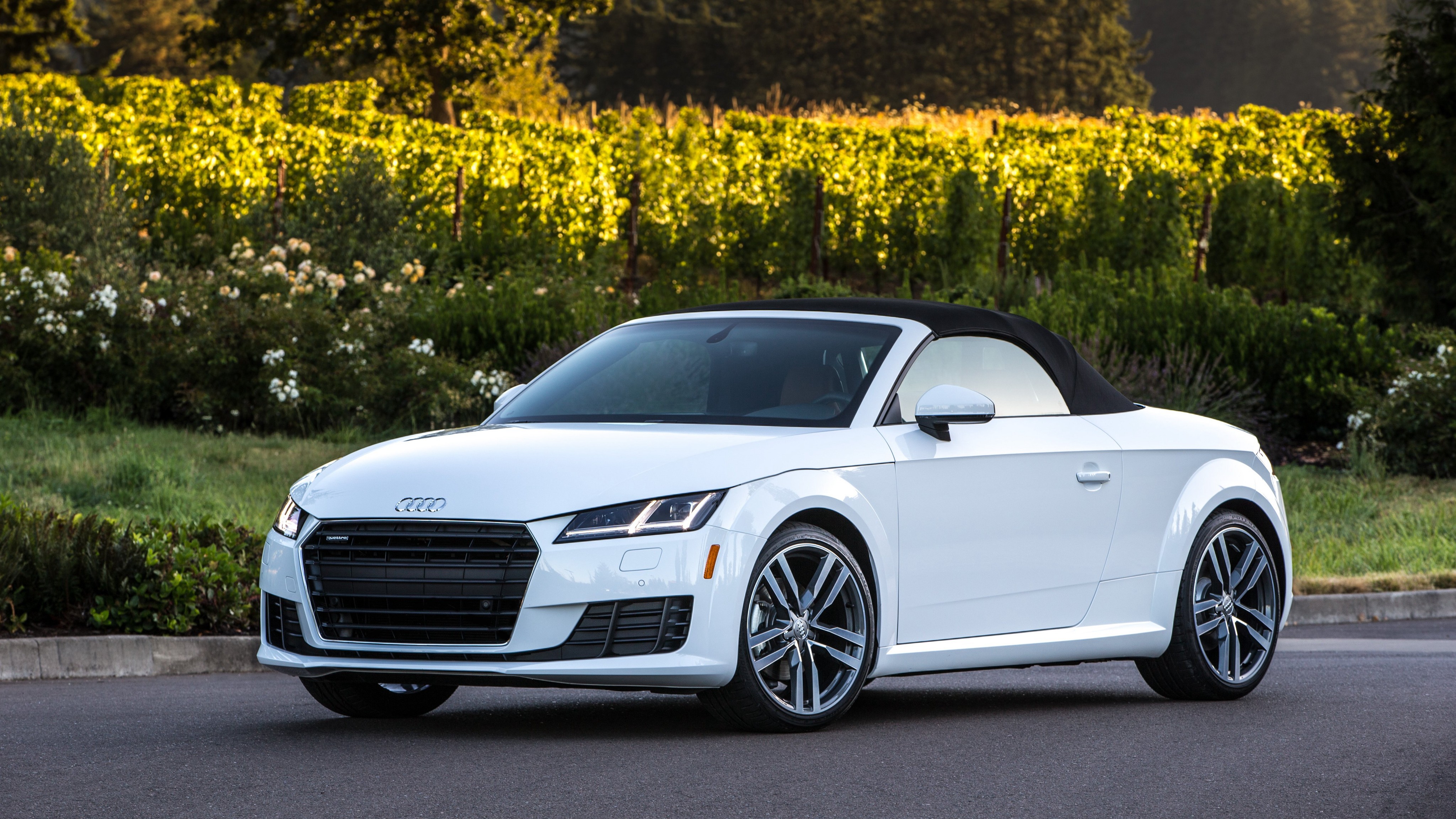 Audi Tt Roadster photo 66
