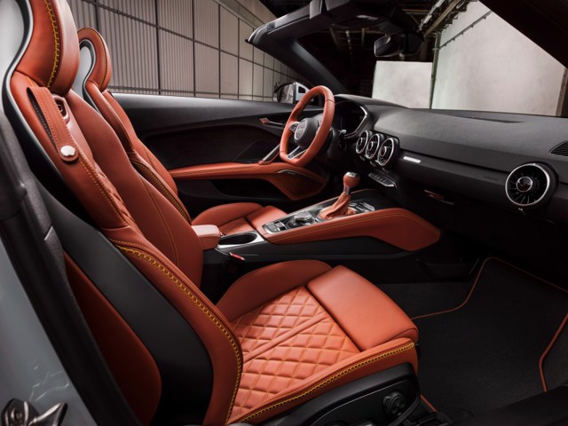 Audi Tt Rs Roadster foto 50