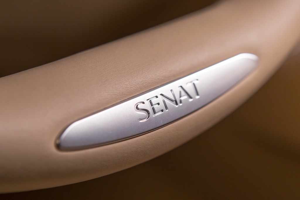 Aurus Senat photo 35