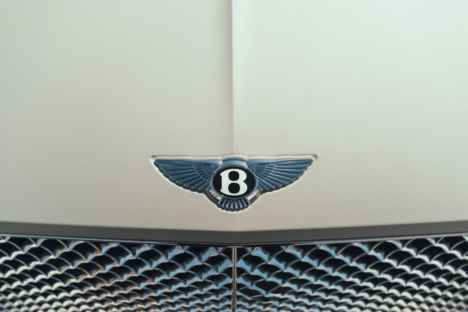Bentley Continental Gt photo 28
