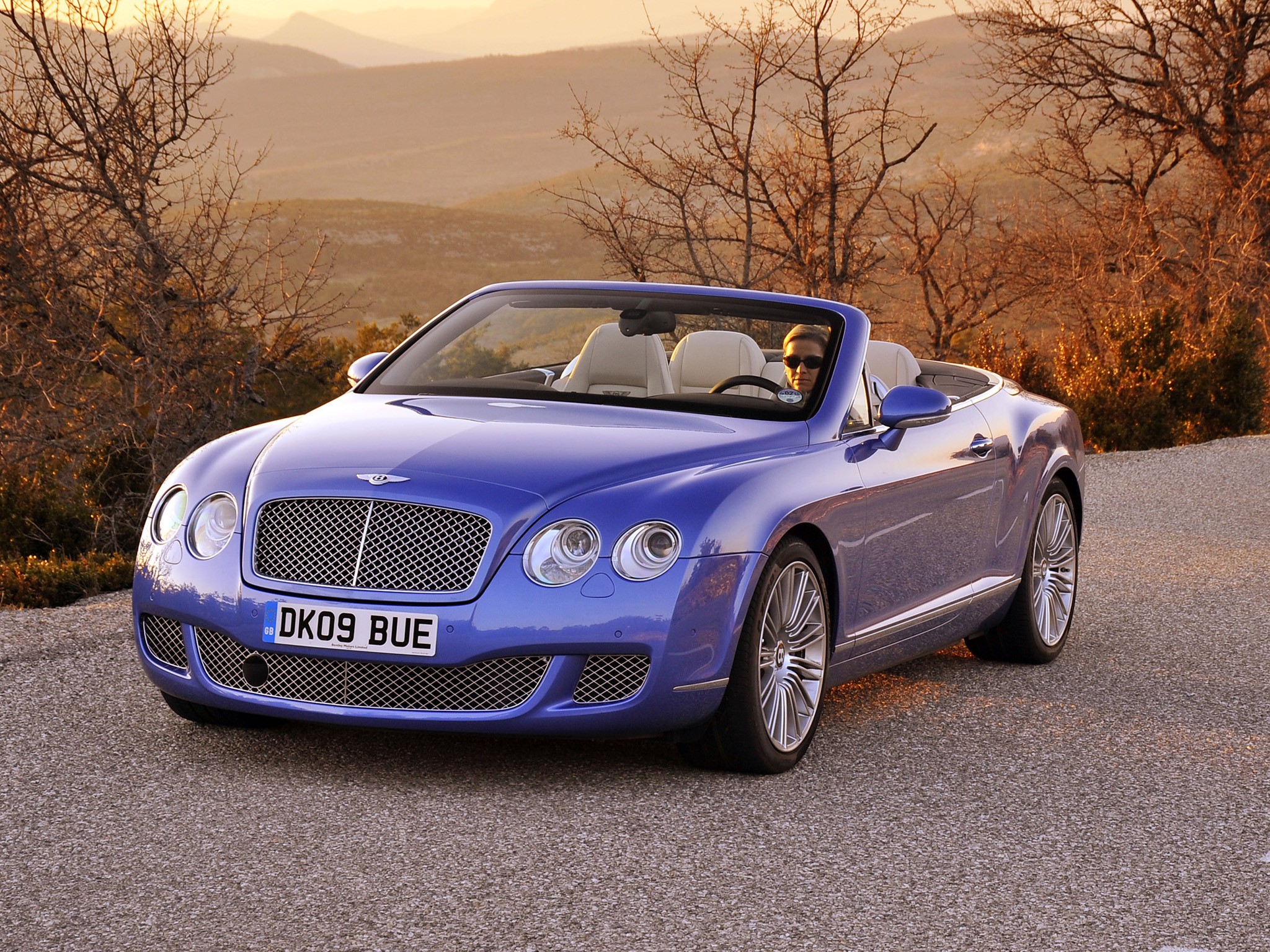 Bentley Continental Gtc photo 40