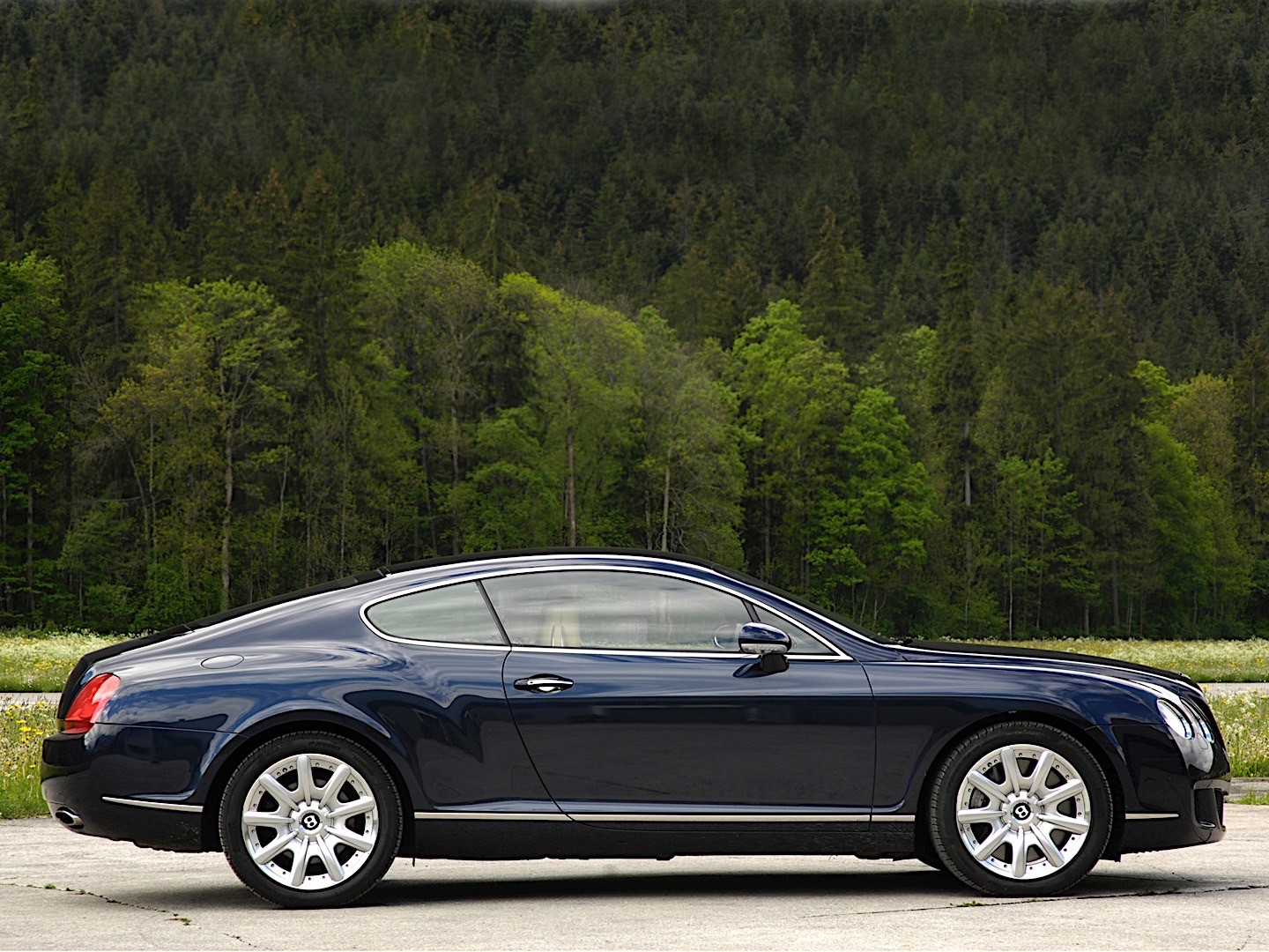 Bentley Continental photo 20