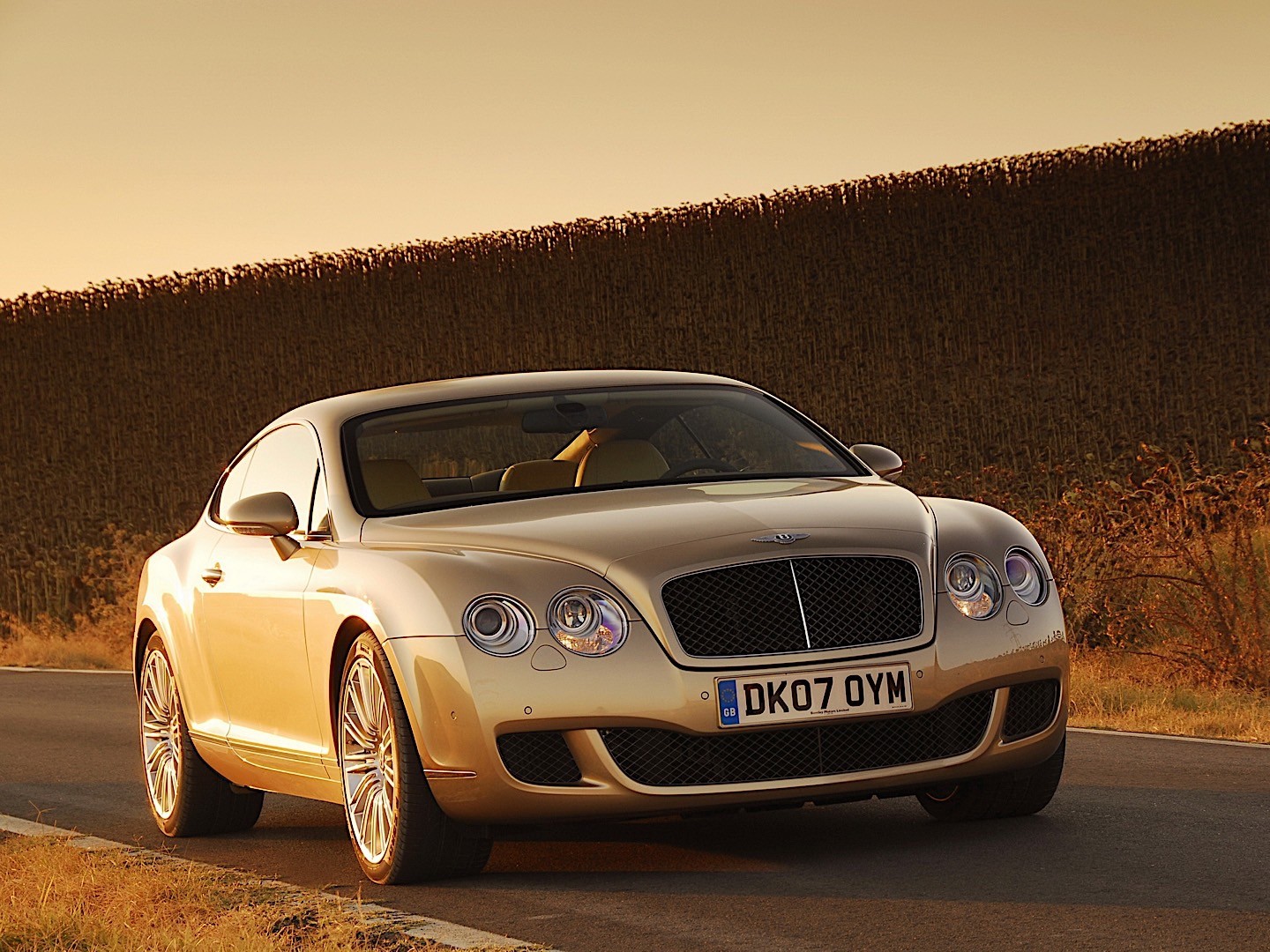 Bentley Continental photo 8