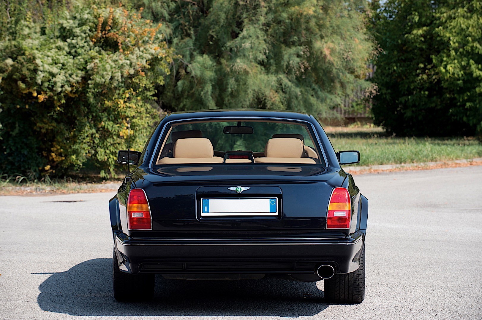 Bentley Continental photo 18