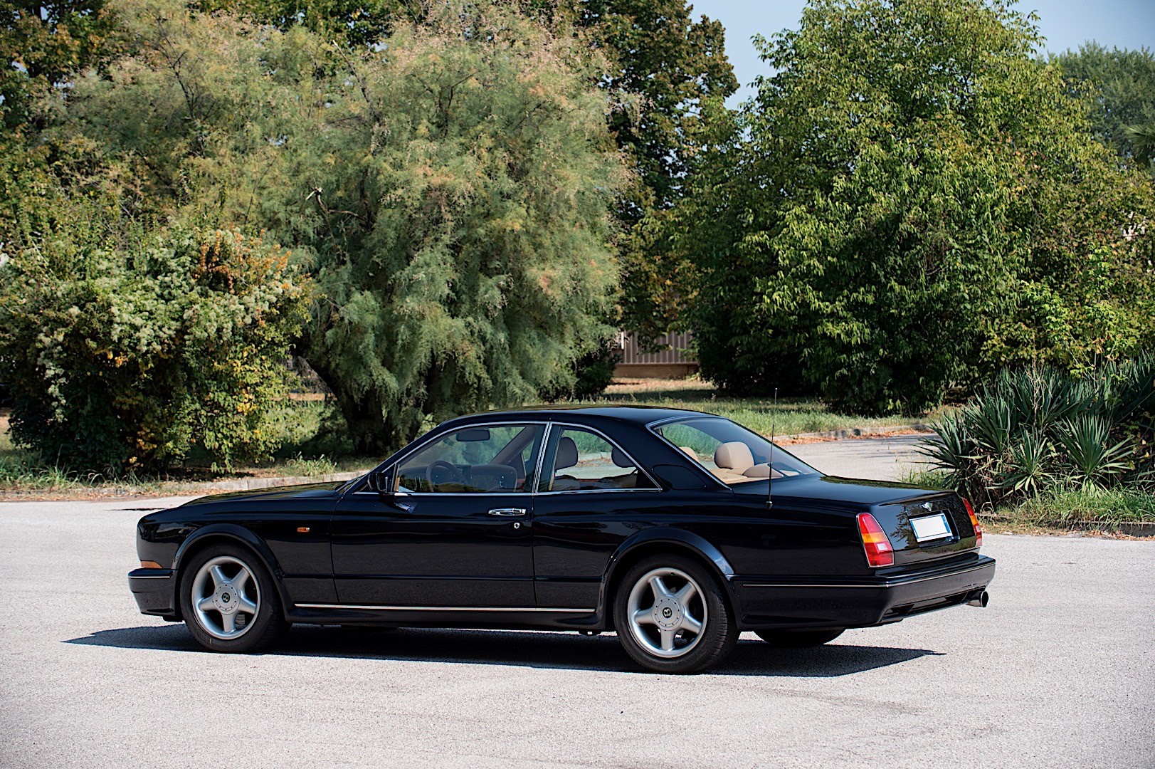 Bentley Continental photo 22