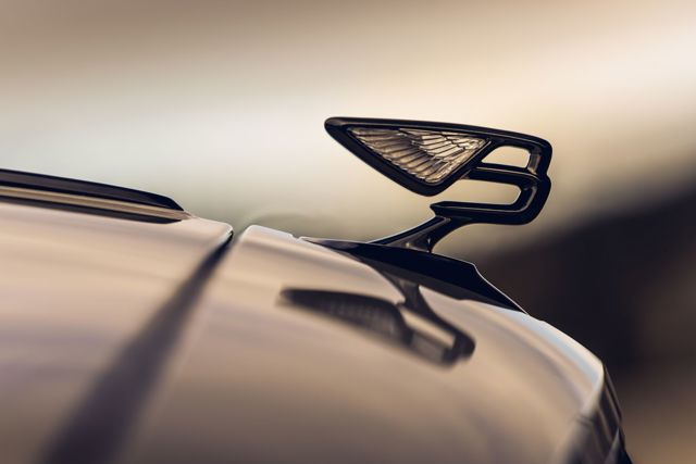 Bentley Flying Spur photo 20
