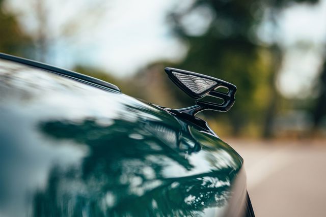 Bentley Flying Spur photo 39