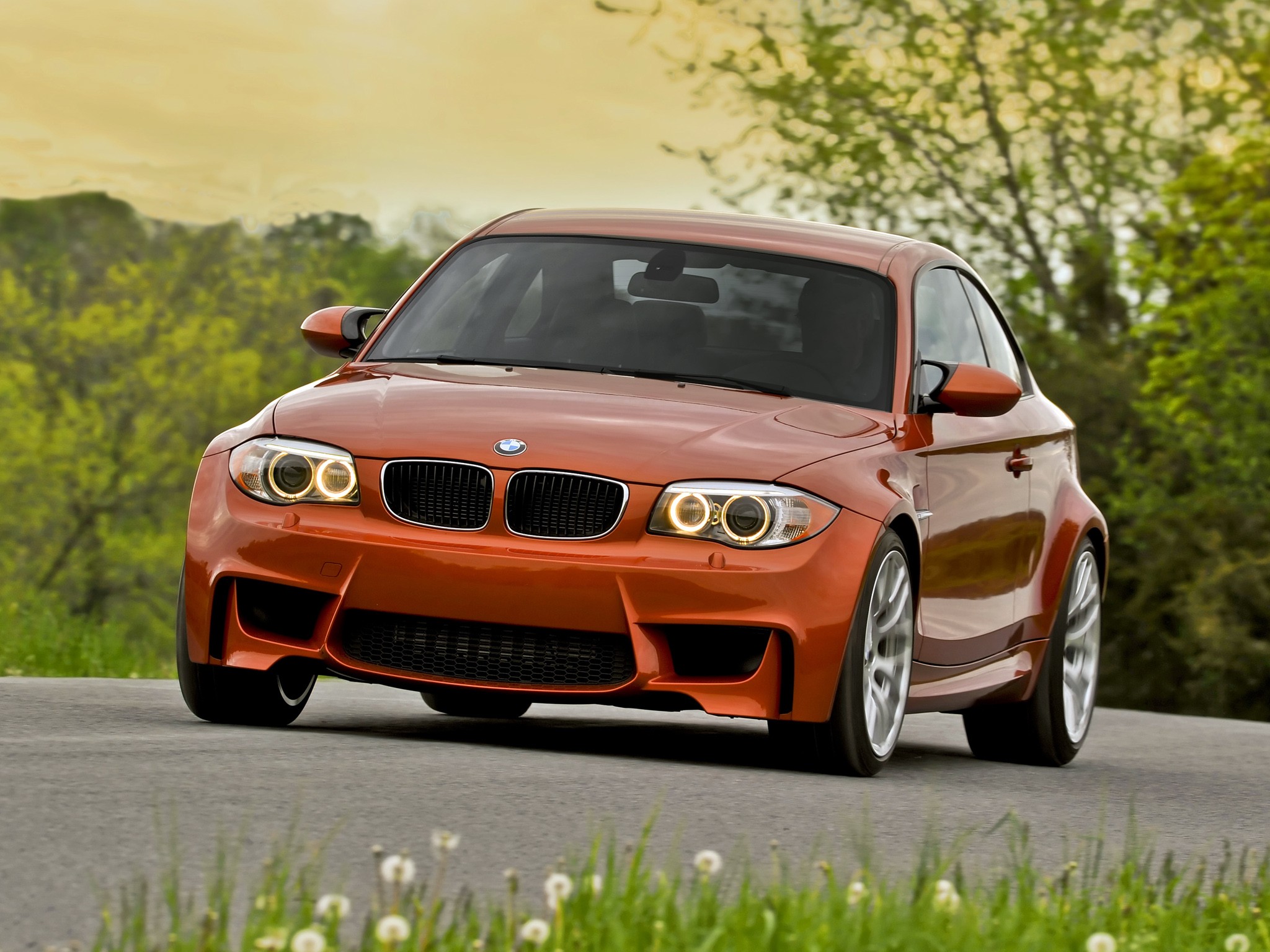 Bmw 1 Series M Coupe photo 52