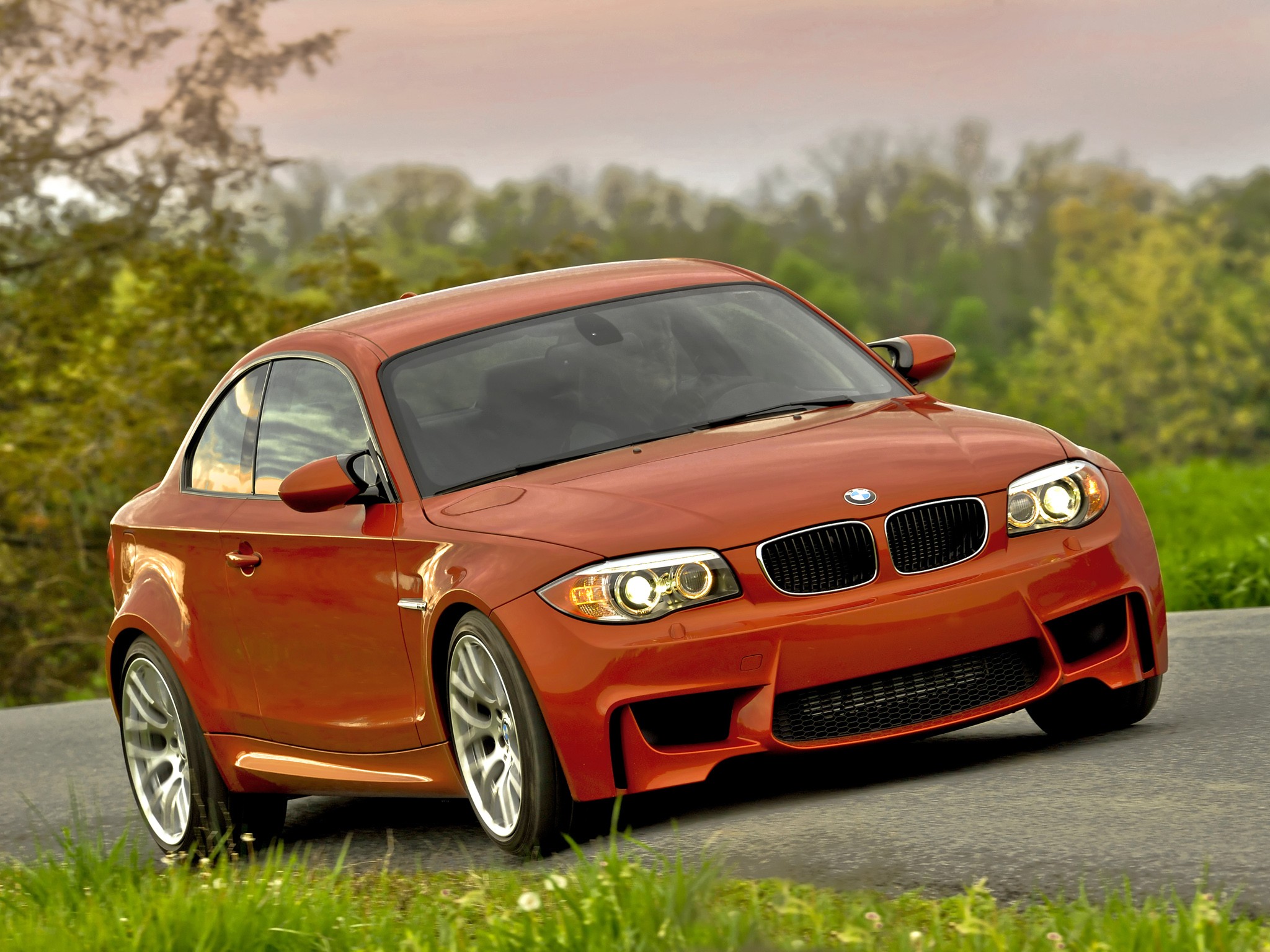 Bmw 1 Series M Coupe photo 54