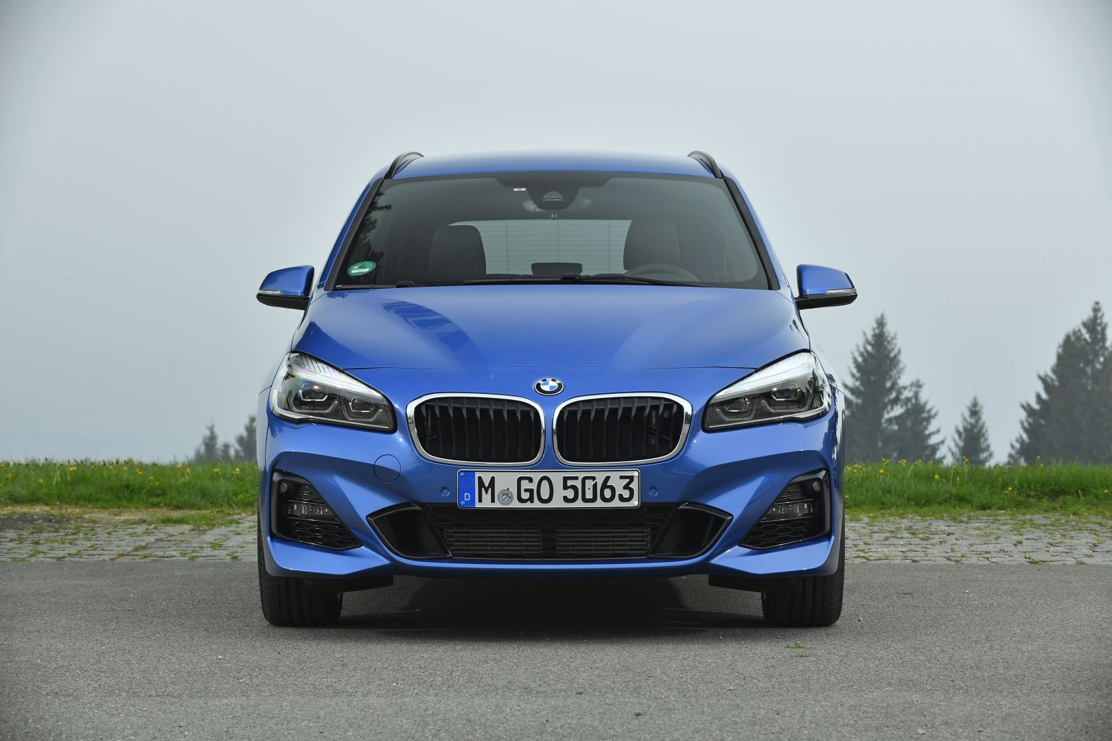 Bmw 2 Series Active Tourer photo 179