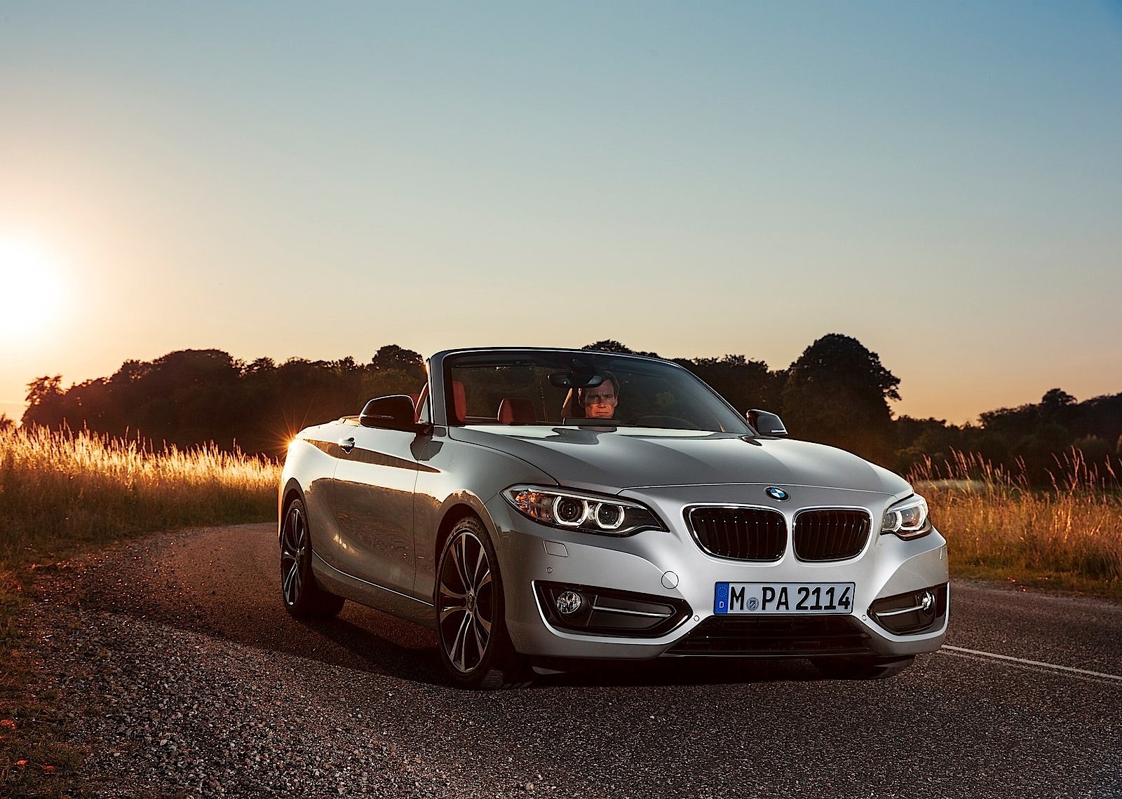 Bmw 2 Series Convertible photo 7