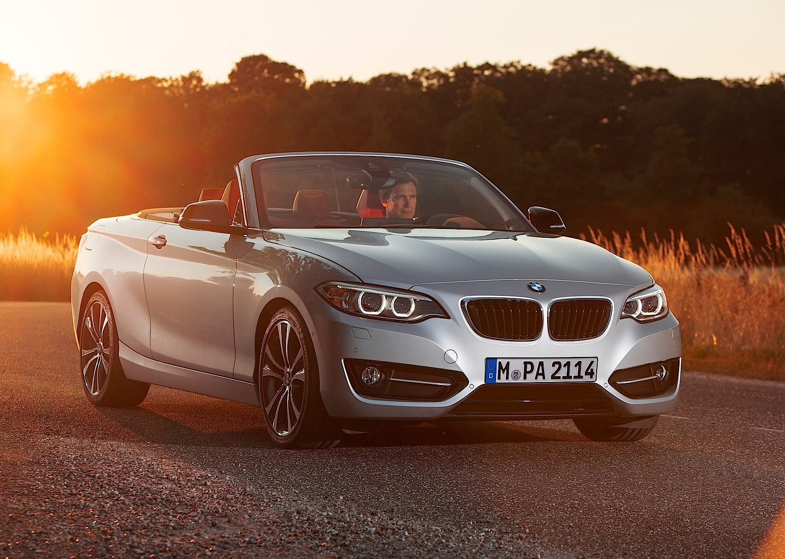 Bmw 2 Series Convertible photo 13