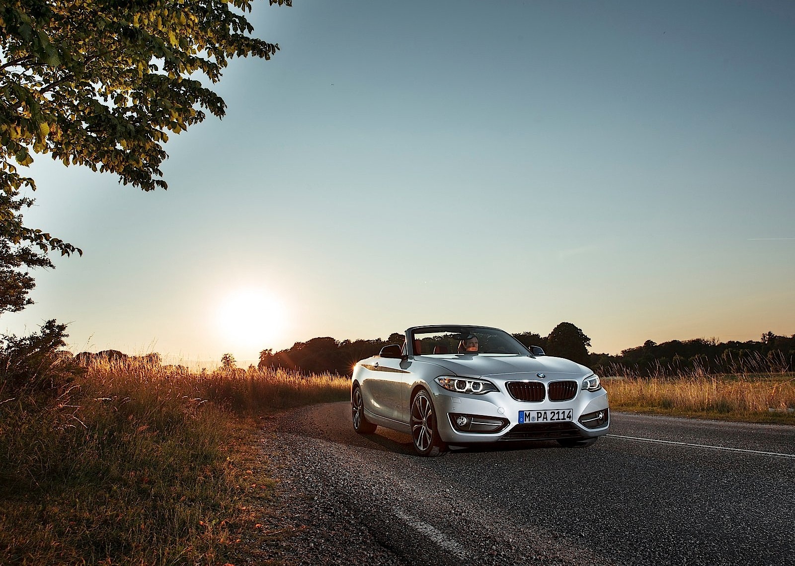 Bmw 2 Series Convertible photo 16