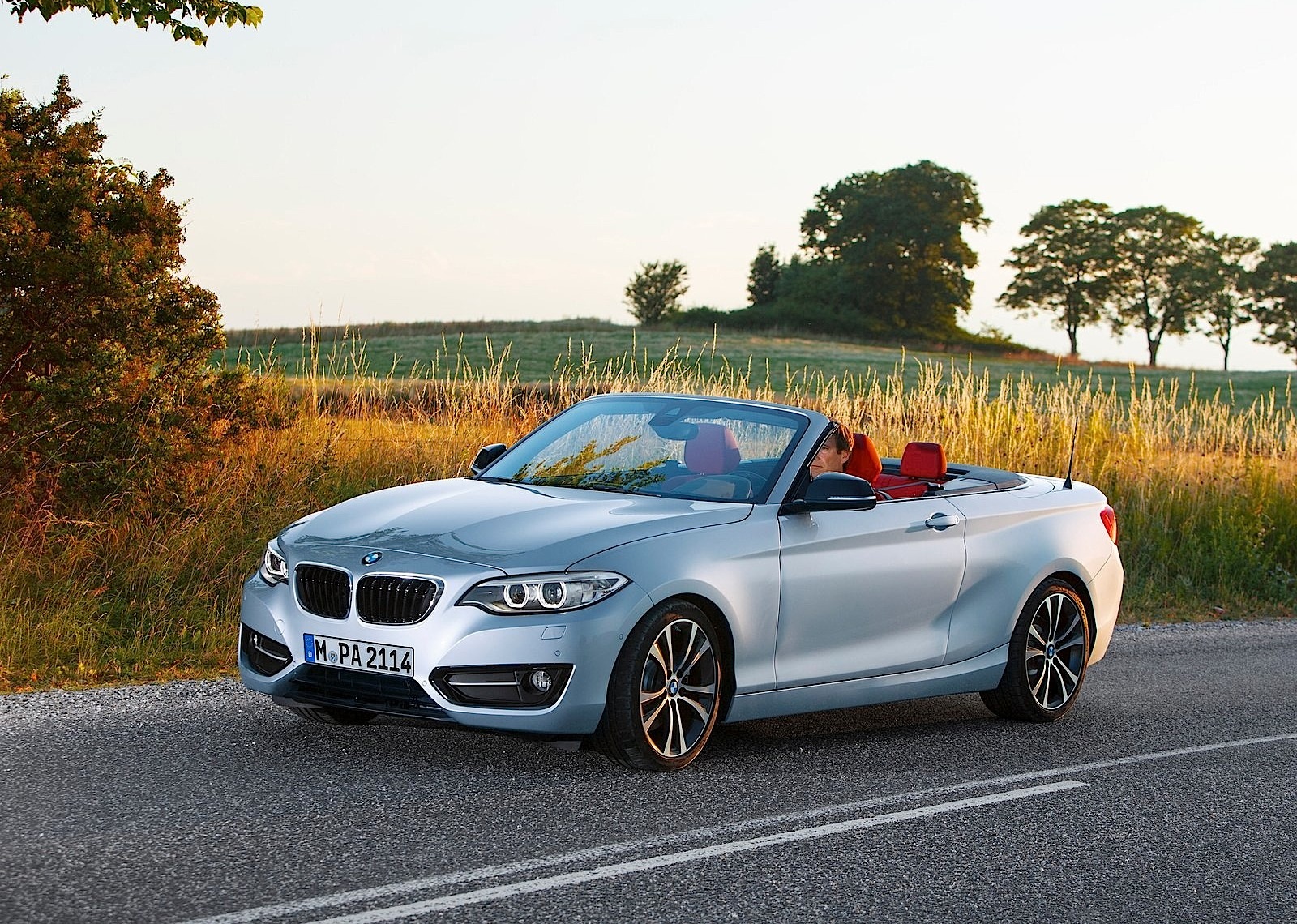 Bmw 2 Series Convertible photo 19