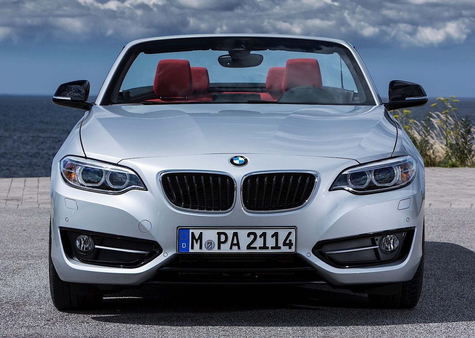 Bmw 2 Series Convertible photo 32
