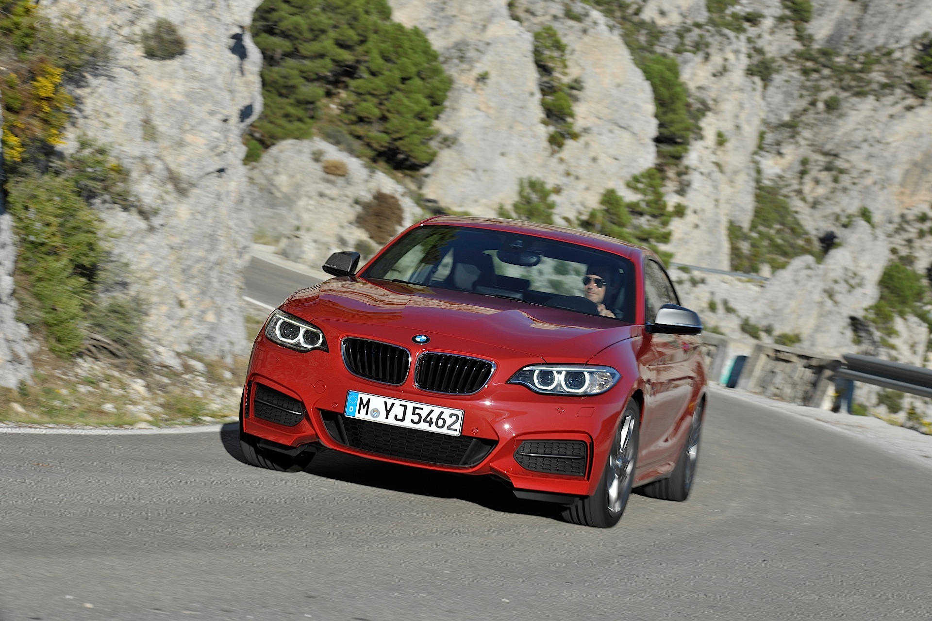 Bmw 2 Series Coupe photo 11