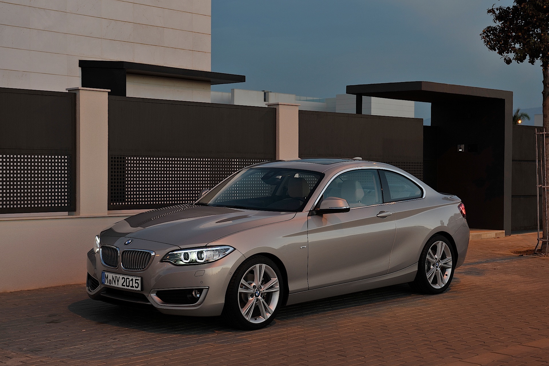 Bmw 2 Series Coupe photo 21
