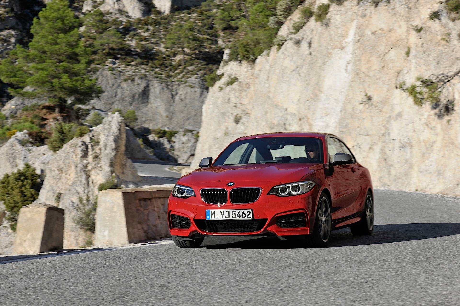 Bmw 2 Series Coupe photo 22