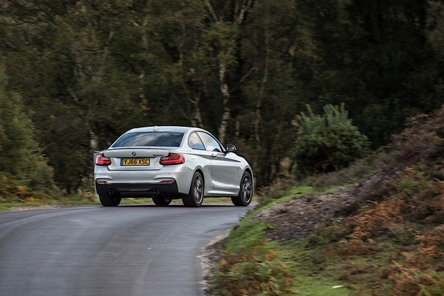 Bmw 2 Series Coupe photo 43