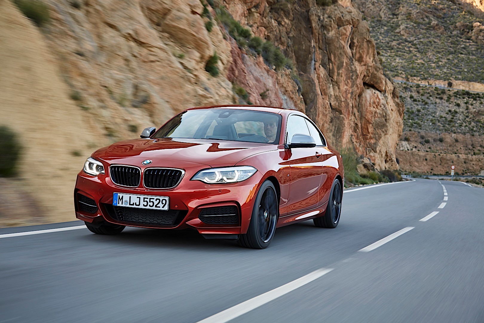 Bmw 2 Series Coupe photo 6