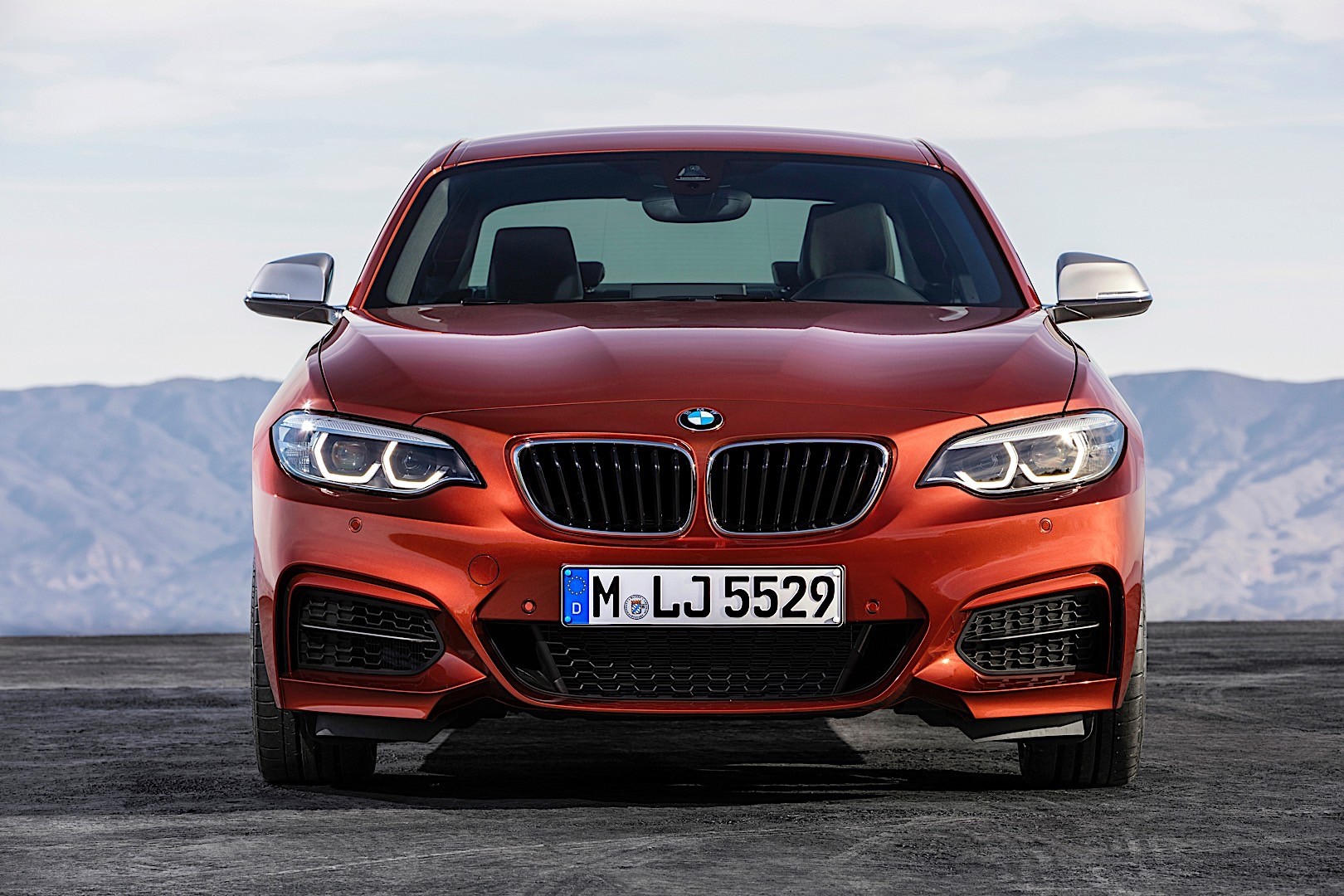 Bmw 2 Series Coupe photo 18