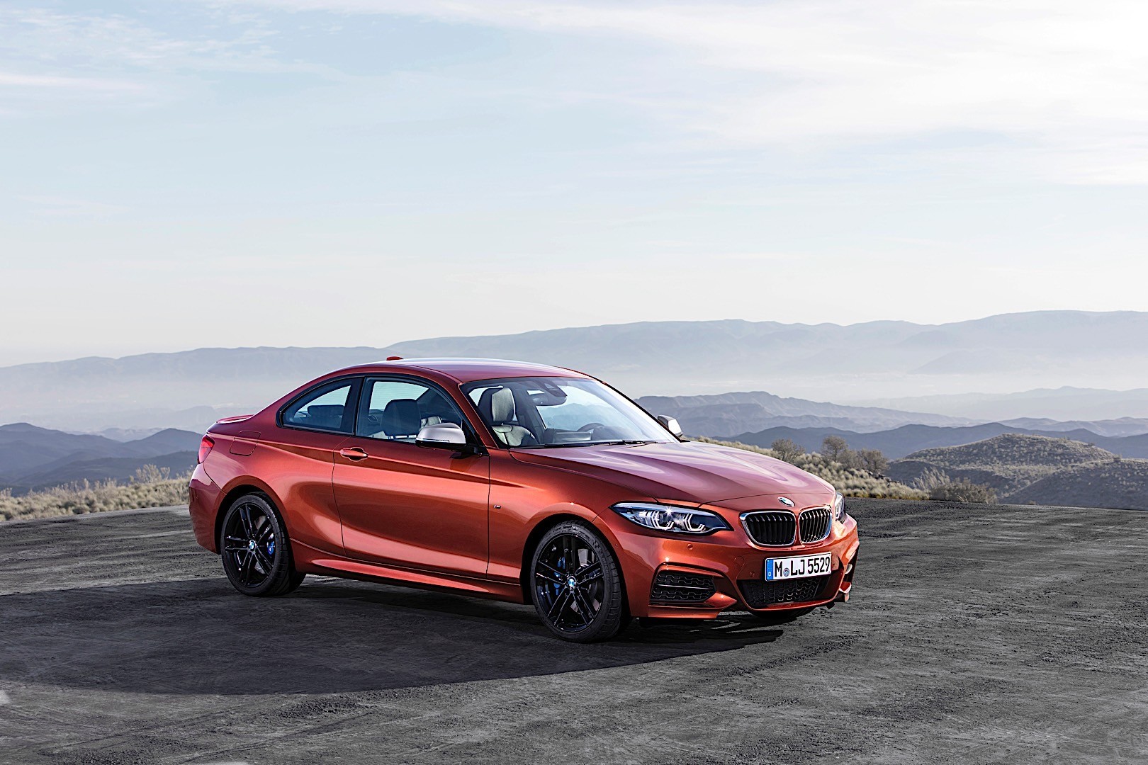 Bmw 2 Series Coupe photo 19