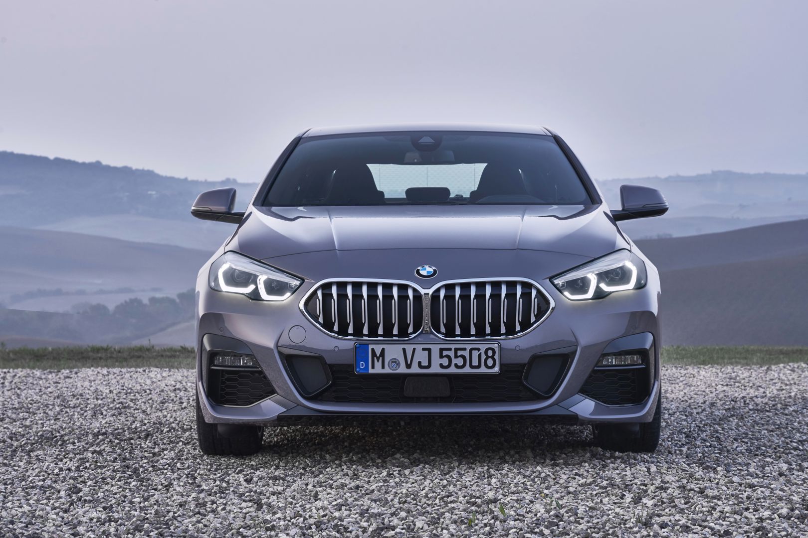 Bmw 2 Series Gran Coupe photo 63