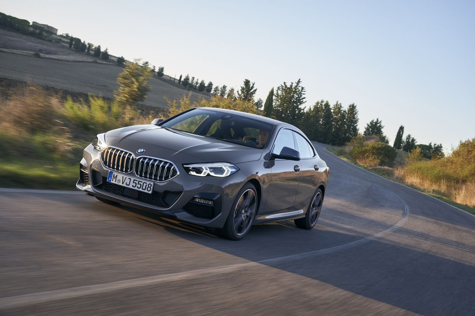 Bmw 2 Series Gran Coupe photo 44