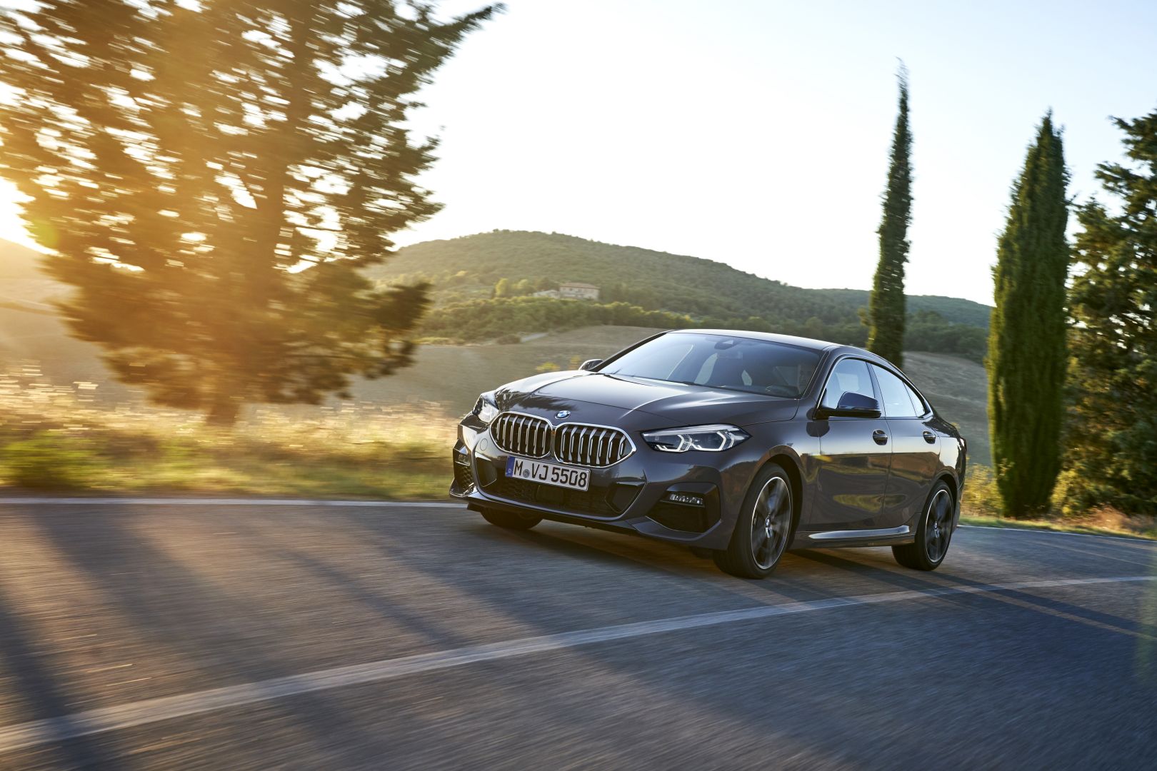 Bmw 2 Series Gran Coupe photo 45