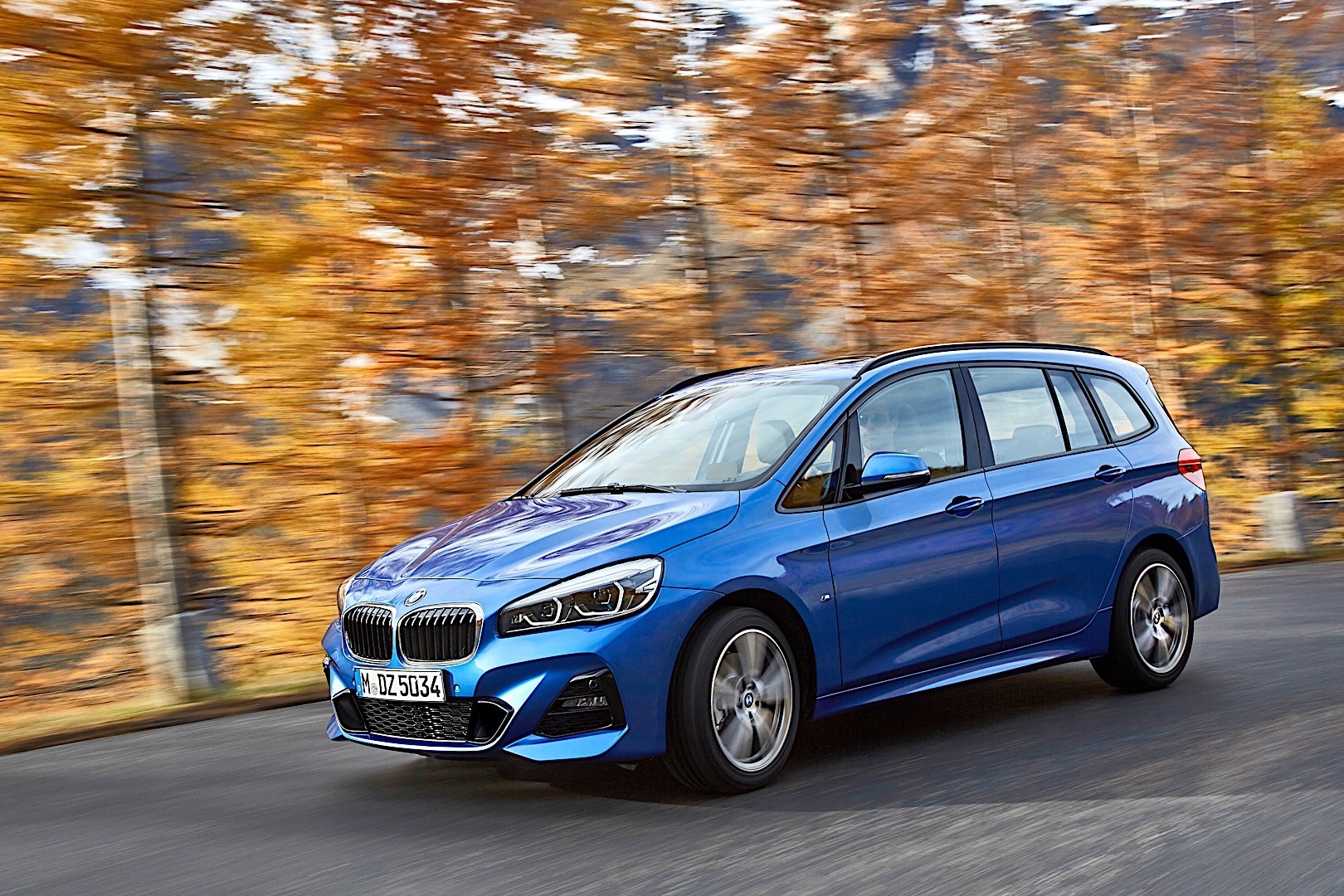 Bmw 2 Series Gran Tourer photo 15