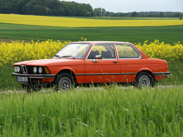 Bmw 3 Series Coupe photo 28