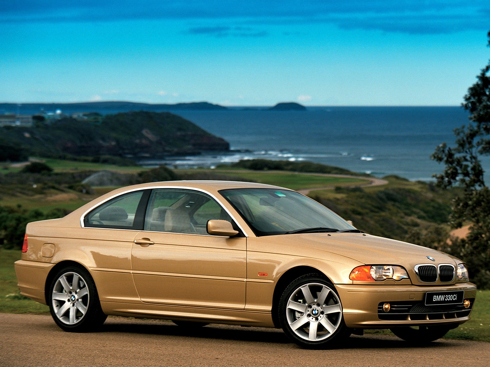 Bmw 3 Series Coupe photo 12