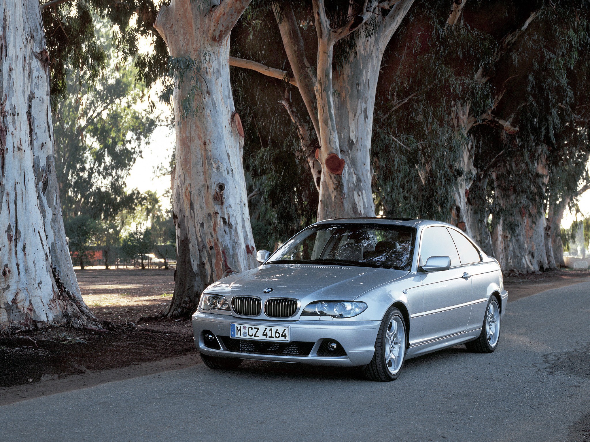 Bmw 3 Series Coupe photo 23