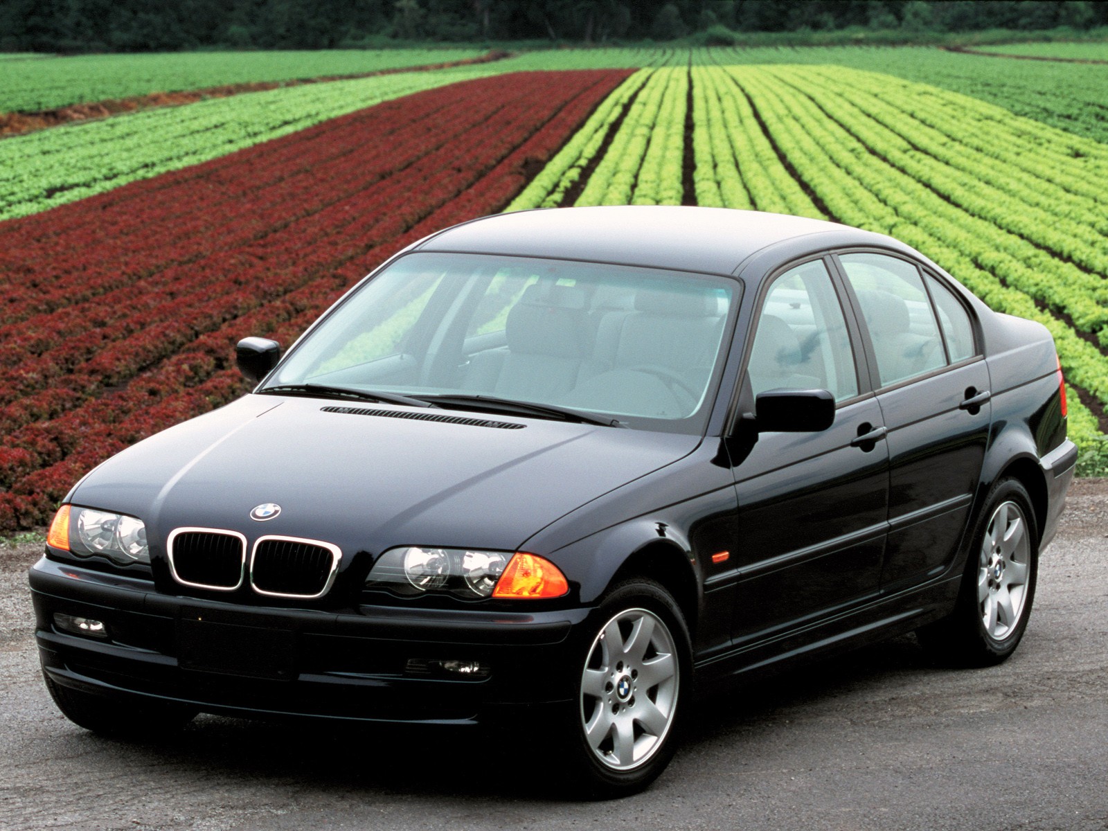 Bmw 3 Series Sedan photo 21