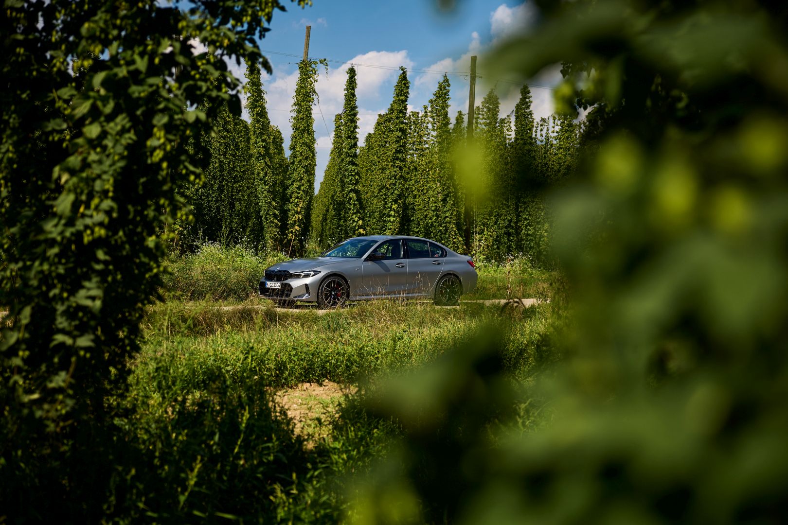 Bmw 3 Series Sedan photo 164