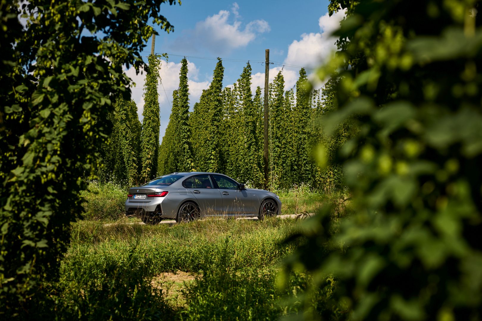 Bmw 3 Series Sedan photo 194