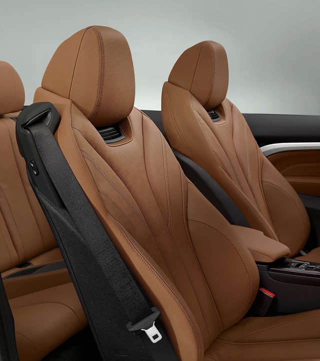 Bmw 4 Series Convertible Foto 109