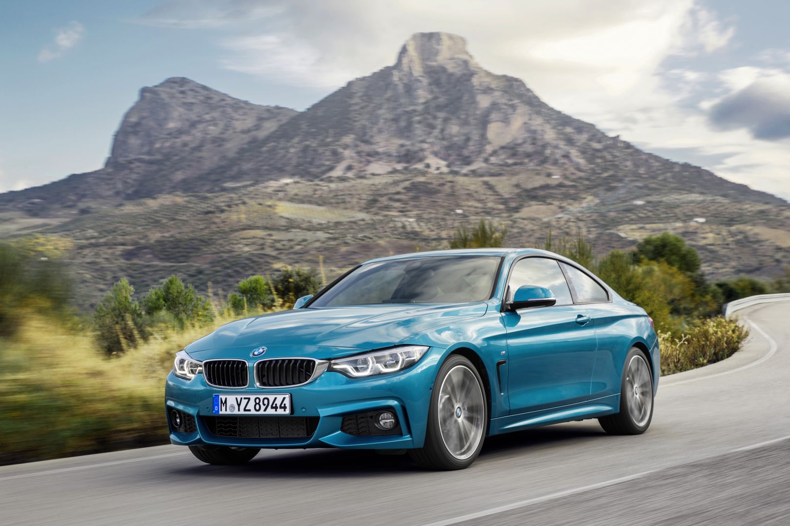 Bmw 4 Series Coupe photo 12