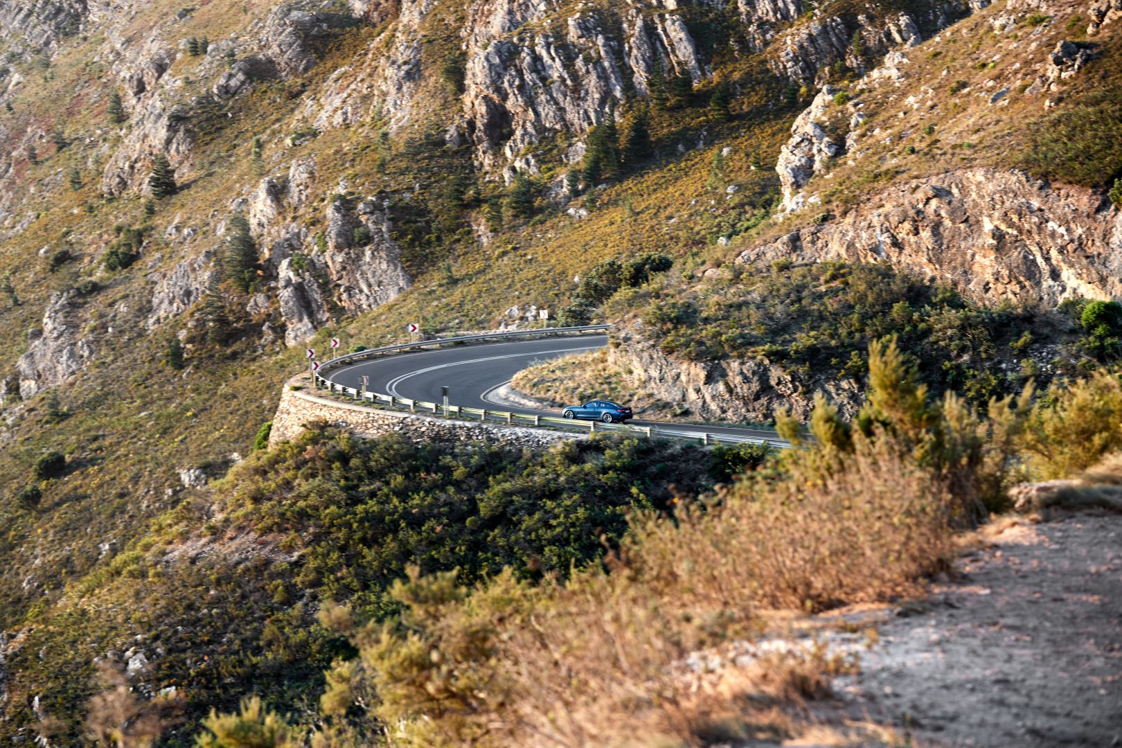 Bmw 4 Series Coupe photo 79