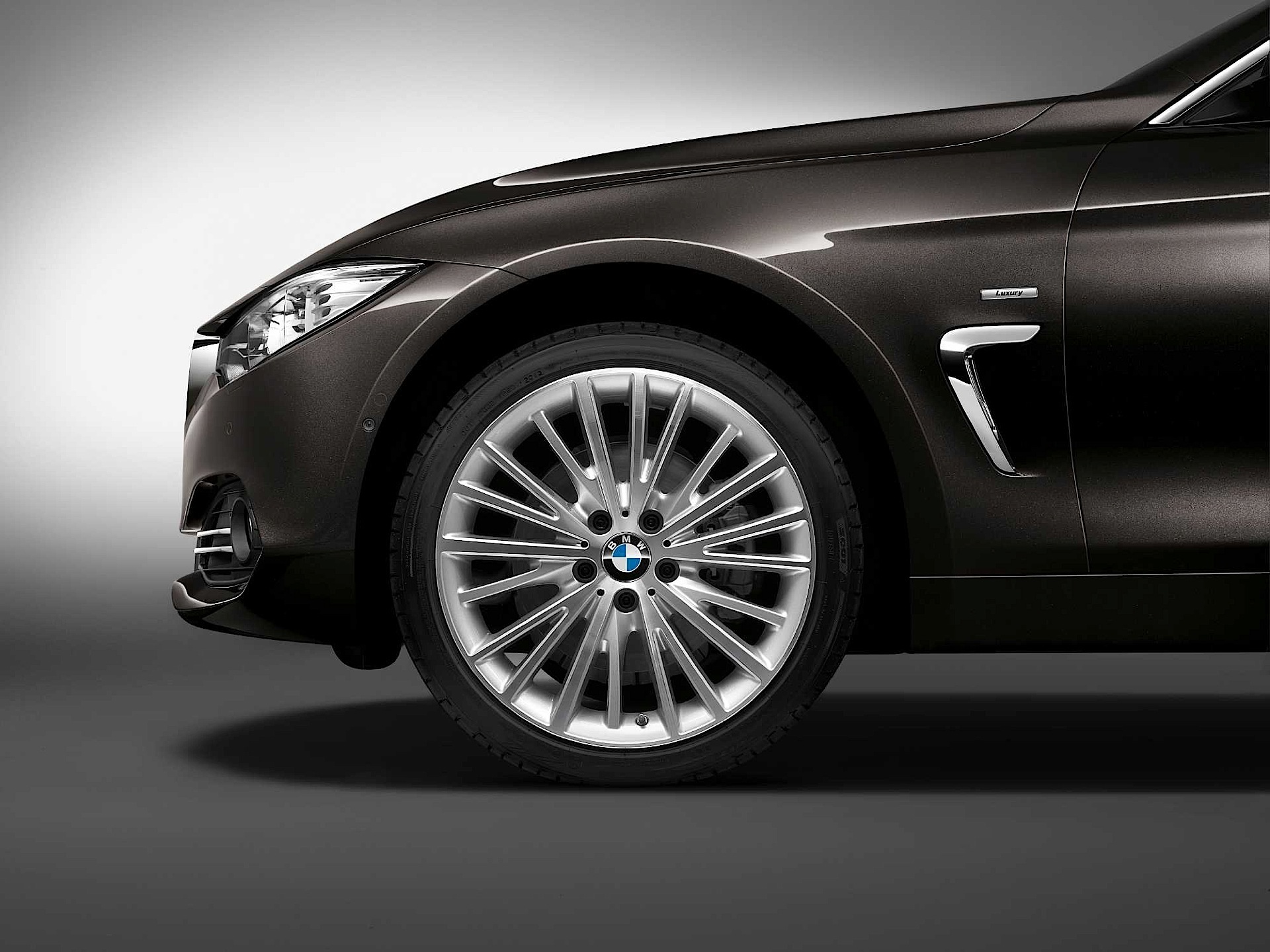 Bmw 4 Series Gran Coupe photo 18