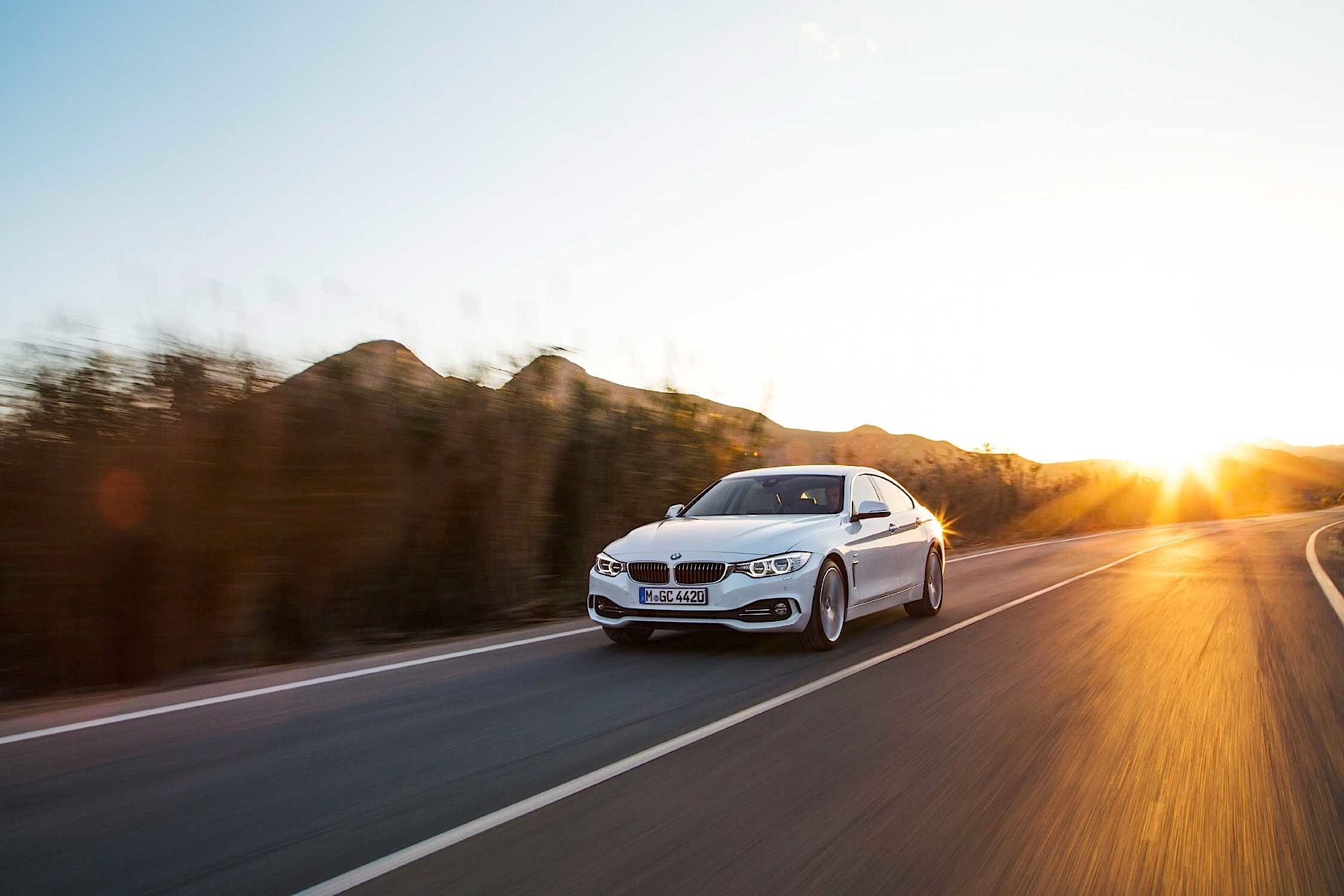 Bmw 4 Series Gran Coupe photo 40