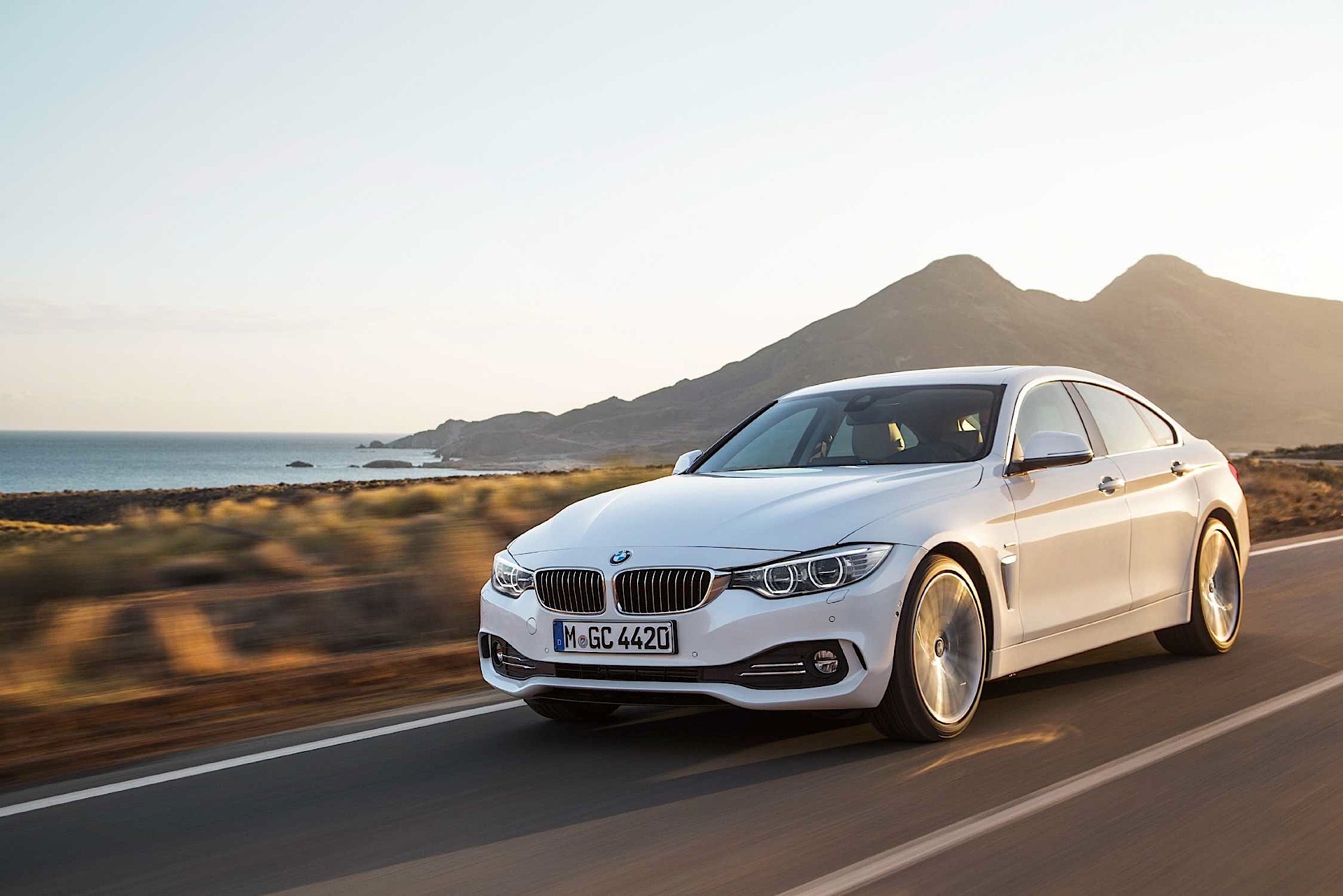 Bmw 4 Series Gran Coupe photo 47