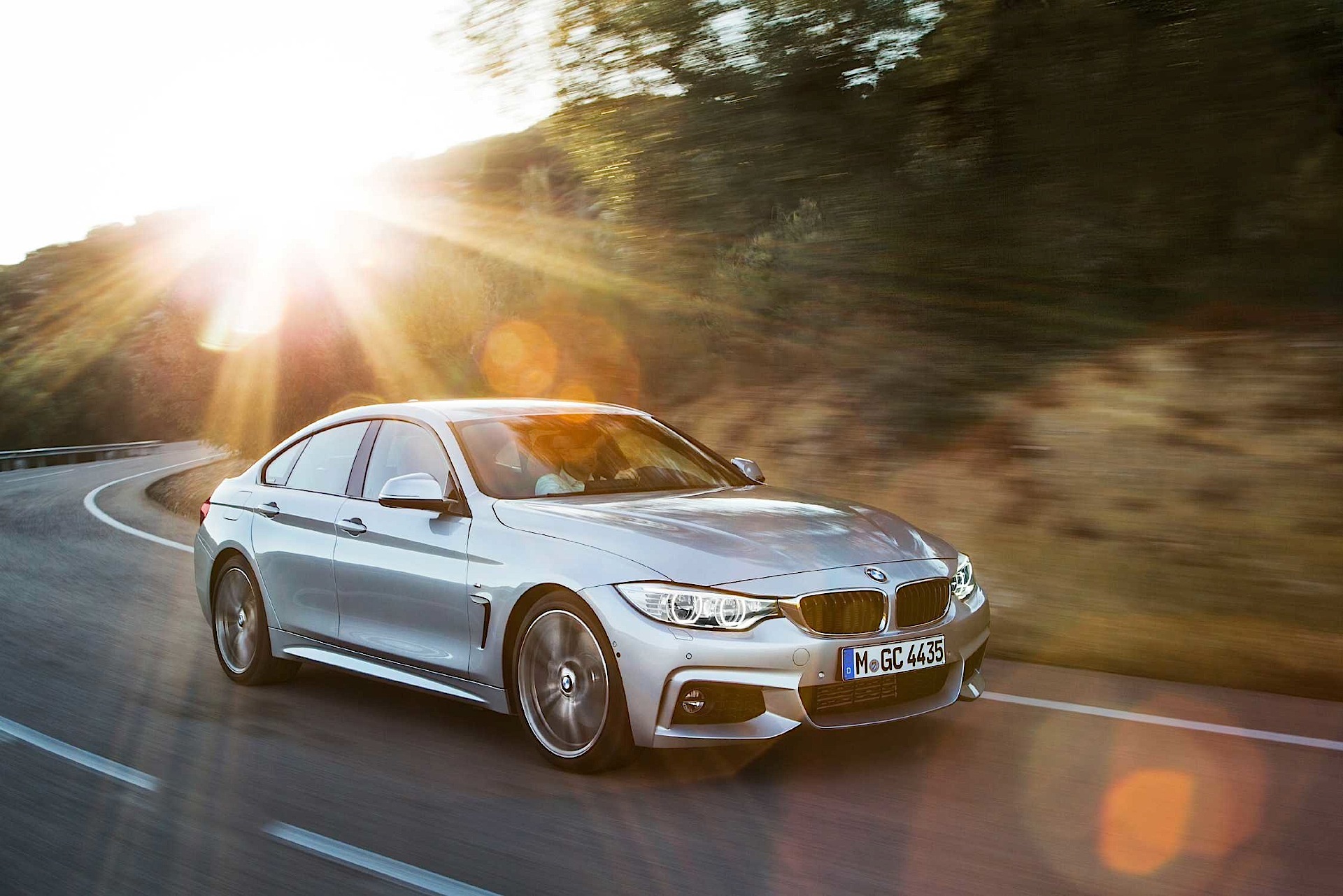 Bmw 4 Series Gran Coupe photo 79
