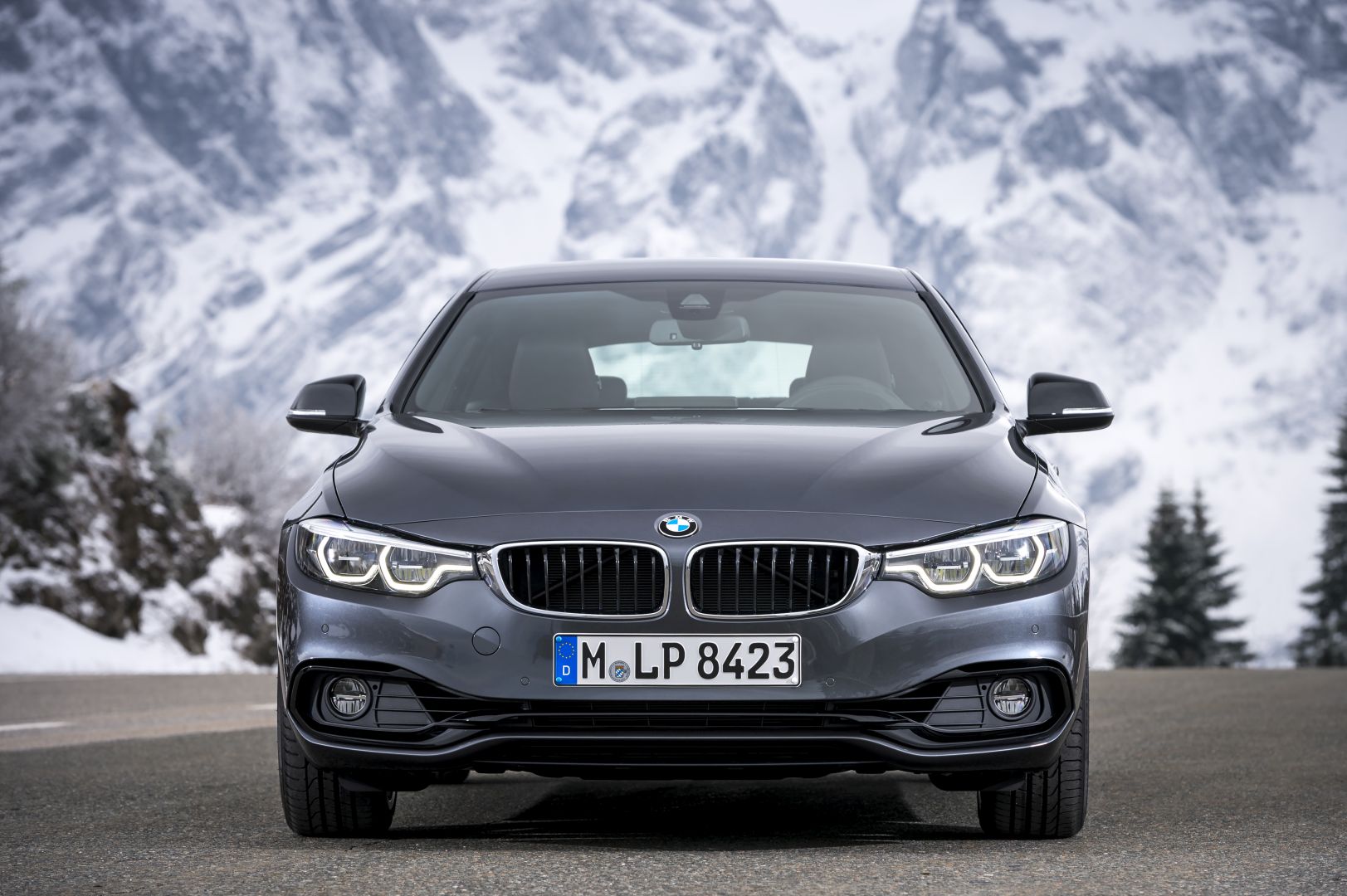 Bmw 4 Series Gran Coupe photo 10