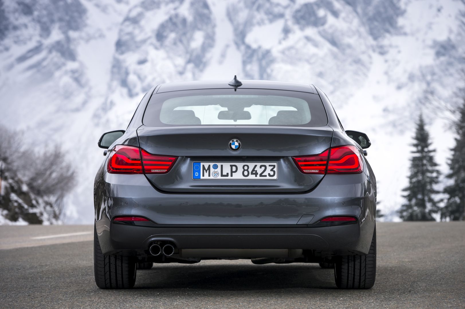 Bmw 4 Series Gran Coupe photo 11