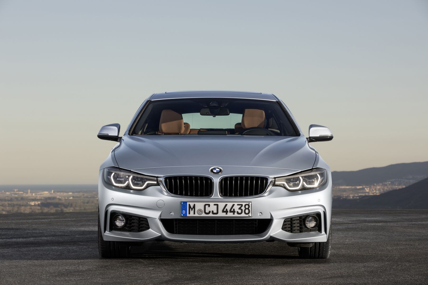 Bmw 4 Series Gran Coupe photo 35