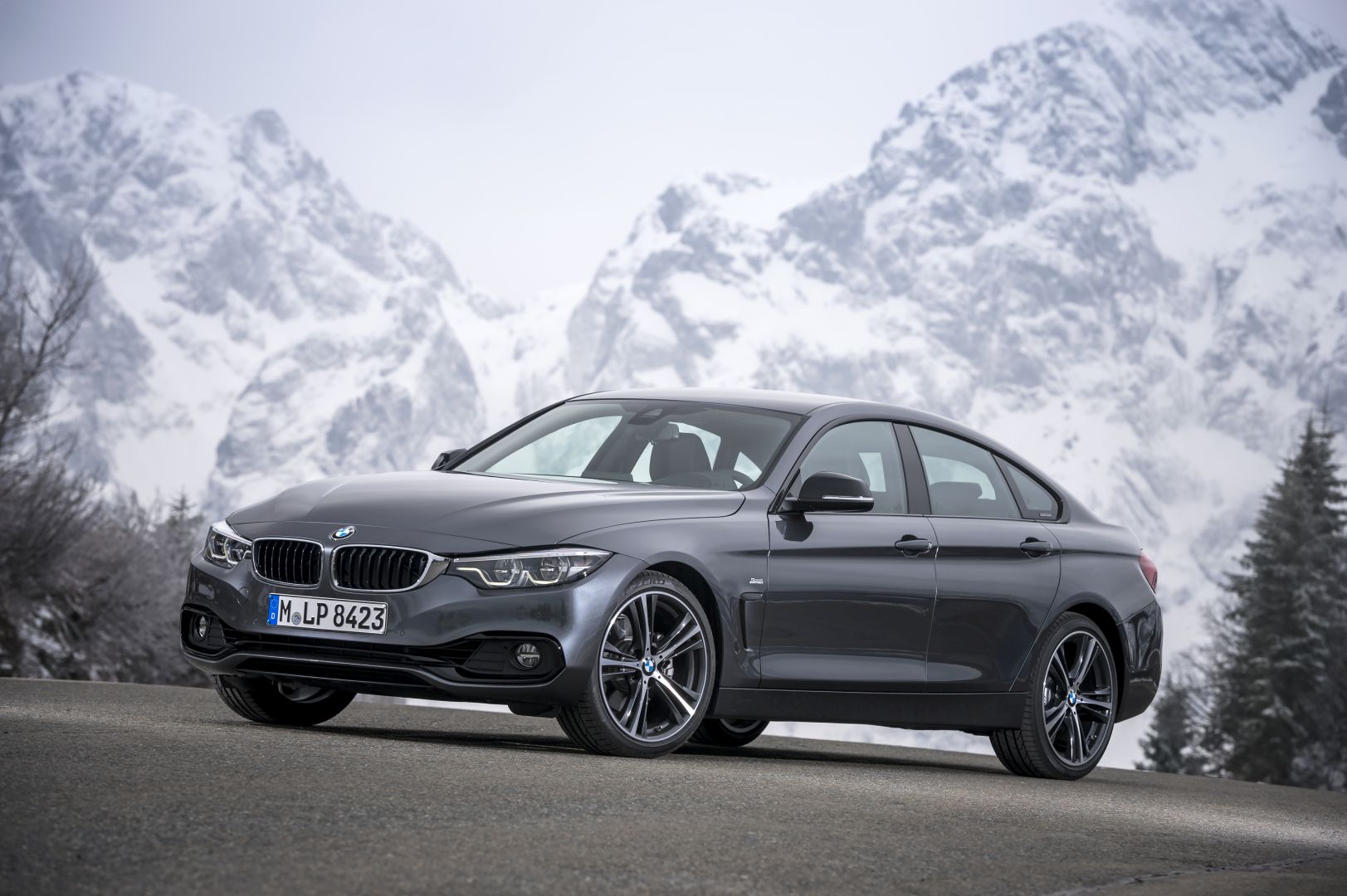 Bmw 4 Series Gran Coupe photo 7