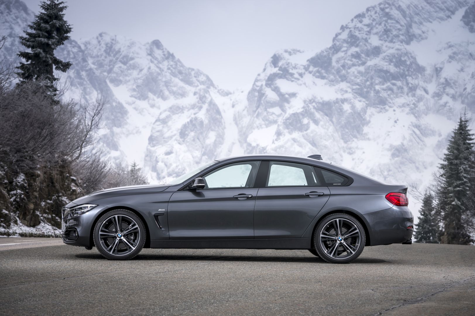 Bmw 4 Series Gran Coupe photo 8