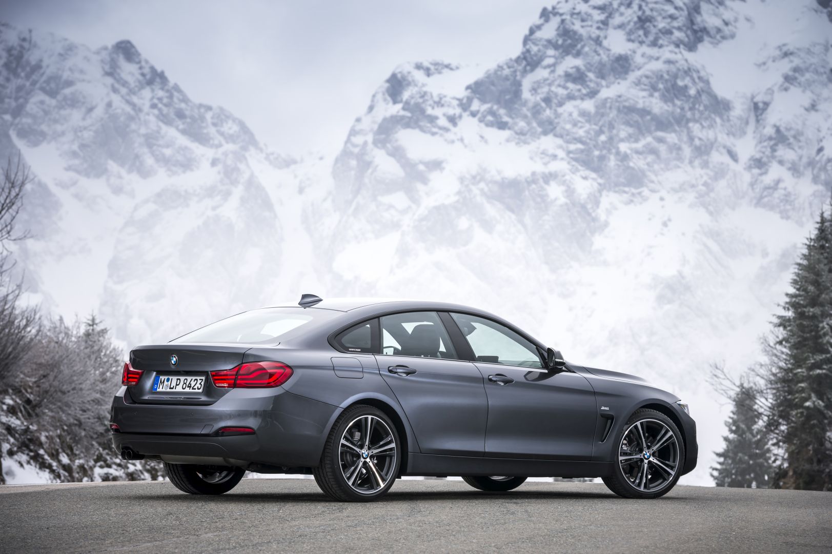 Bmw 4 Series Gran Coupe photo 9